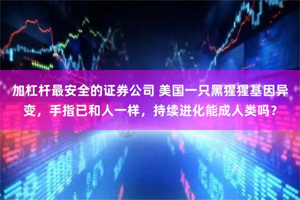 加杠杆最安全的证券公司 美国一只黑猩猩基因异变，手指已和人一样，持续进化能成人类吗？